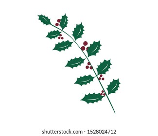 sprig of Holly with berries. Beautiful vector. Christmas is coming