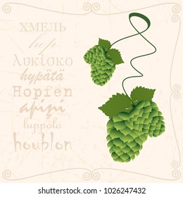 Sprig of hop in vintage style
