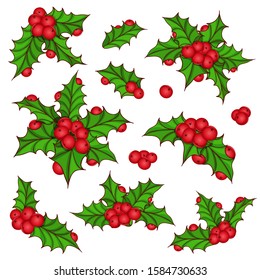 Sprig of ilex aquifolium holly. Set mistletoe, berries, green leaves. Hand drawn. Design elements for Christmas New Year greeting card. Colorful vector illustration isolated on white background.