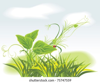 Sprig and ladybird among grass. Vector