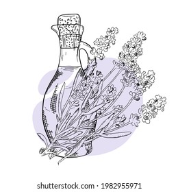 Esbozo dibujado a mano con espuma de lavanda. Frasco con aceite esencial lavanda. Cosmética, perfumería y planta médica. Ilustración vectorial. Se puede usar para cosméticos, folletos, pancartas, etiquetas.