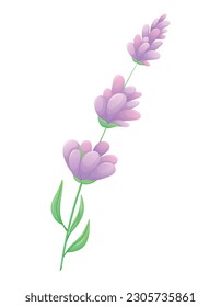Sprig of lavender or lilac with purple flowers, leaves and petals. Vector isolated cartoon natural illustration.