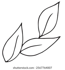 sprig with a leaf of green or black tea, natural, organic, eco-friendly, vector black and white doodle element, coloring book, cute design element