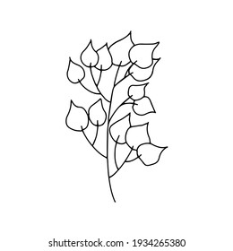 Sprig with leaves in doodle style. Black and white vector isolated illustration spring and summer season hand drawn branch