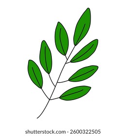 Sprig with leaves, ecology or natural spring element, doodle style flat vector