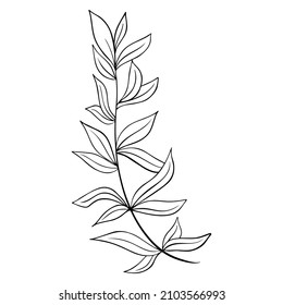 Espiral con ilustración vectorial dibujada a mano de hojas. Rama caduca aislada. Decoración natural en estilo doodle