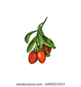 A sprig of luscious goji berries. Vector illustration perfect for dietary and wellness themes, showcasing the vibrant fruit.