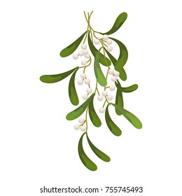 A sprig of mistletoe plants. Green leaves ,white berries. Christmas decoration.Vector illustration.