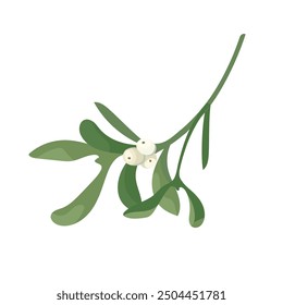 Sprig mistletoe with white berries. Vector christmas branch decoration of mistletoe isolated on white background. Design frame element for print, card, flyer, banner