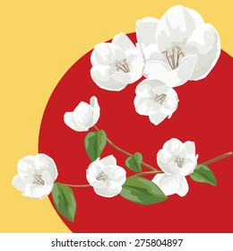 Sprig of newly bloomed tiny white flowers. Vector, illustration.