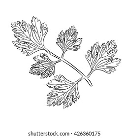 a sprig of parsley