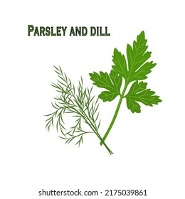 Sprig of parsley and dill. Vector illustration 