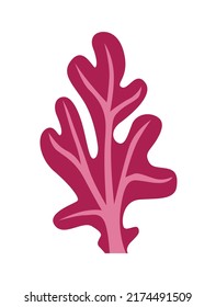 A sprig of a red algae plant with veins
