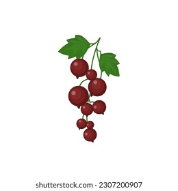 sprig of red currant on a white background. berry vector illustration