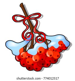 Sprig of ripe red rowan berries covered with snow isolated on white background. Sample of poster, party holiday invitation, festive card. Vector cartoon close-up illustration.