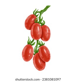 A sprig of ripe tomato berries. Vector graphics.