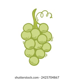 Sprig of ripe white grapes clip art