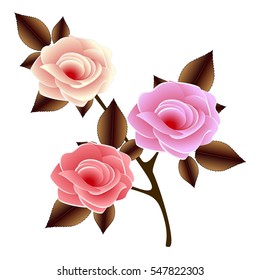 Sprig with roses on a white background.