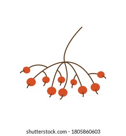 Sprig with rowan berries flat vector isolated illustration. Simple autumn twig red color on white background