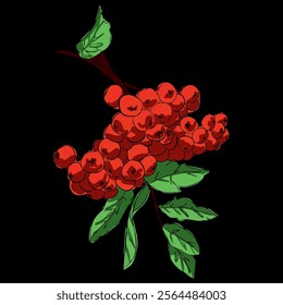 sprig of rowan with leaves