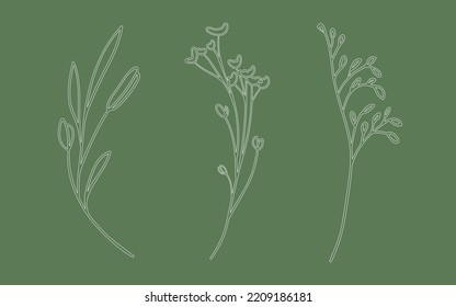 Sprig set outline on green background. Wildflowers in outline style. Nature illustration