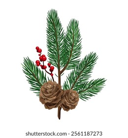 A sprig of spruce with cones and red berries. Winter Christmas decor on a white background. Vector illustration.