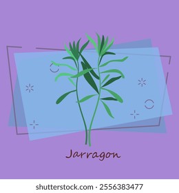 Sprig of tarragon. Green leaves, twigs, estragon. Cooking herbs concept. Vector illustration can be used for topics like seasoning, condiment, cuisine