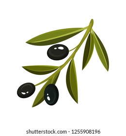 Sprig with three fresh black olives and bright green leaves. Natural food. Flat vector design