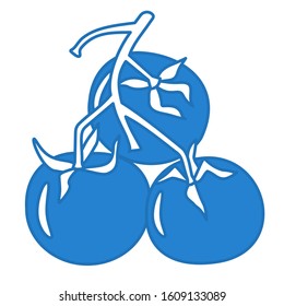 sprig of tomatoes, blue linear icon on white isolated background