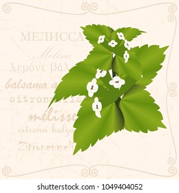 Sprig of in vintage style
