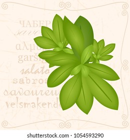 Sprig in vintage style