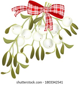 A sprig of white mistletoe tied with a ribbon in a red and white check.
