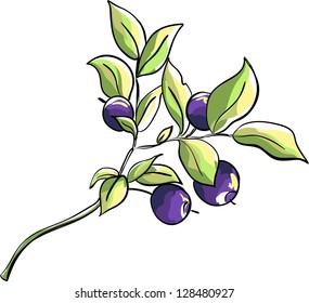 Sprig of whortleberry