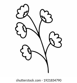 A sprig of wildflowers in the doodle style. Spring illustration by hand. Vector element for the design of a postcard.