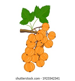A sprig of yellow currant with a green leaf on a white isolated background in a flat style, cartoon. Vector drawing for website, symbol, decorations, greeting cards, labels, packaging.