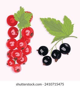Sprigs of black and red currants with leaves. Vector icons of ripe berries.