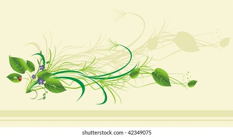 Sprigs with flowers and ladybird. Card. Vector