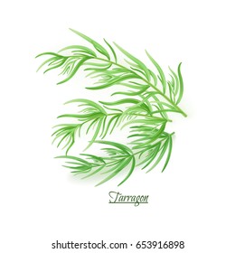 Sprigs of fresh delicious tarragon in realistic style, isolated on white background