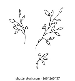 Sprigs with leaves. Line art. Vector illustration.