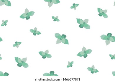 Sprigs of mint isolated on white background. Seamless vector template with minty leaves. Minimalistic floral modern design.