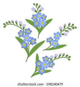 Sprigs of myosotis flowers isolated on white background