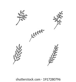 brotes de plantas con hojas de ilustraciones vectoriales estilo doodle. ramas de juego
 negro aislado sobre fondo blanco para la decoración de las tarjetas