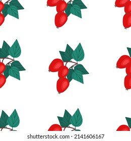 Sprigs of red rose hips seamless pattern. Vector illustration in flat style. Fruit print.