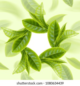 Sprigs of tea in the form of a round frame on the background of falling tea leaves. Realistic vector illustration. 