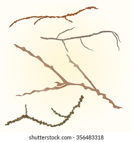 Sprigs tree various vector illustration 