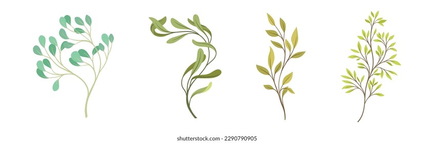 Sprigs and Twiglets with Green Leaves as Botanical Foliage Vector Set