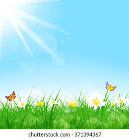 spring