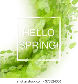 Spring abstract background. Vector illustration. Design element with green leaves. Hello spring. Spring season, spring wallpaper, spring time, spring design, spring text,spring lettering