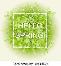 Spring abstract background. Vector illustration. Design element with green leaves. Hello spring