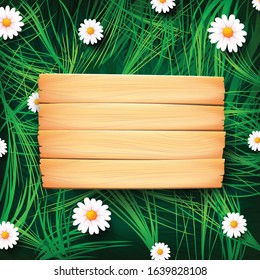 Spring abstract background wooden board green leaf and white beautiful nature flower on the meadow, Relax vacation and travel business concept with copy space. Vector illustration